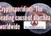 Cryptosporidium the leading cause of diarrhea