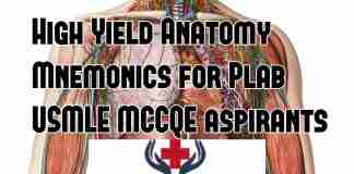 Hi yield Anatomy mnemonics