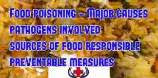 Major causes of food poisoning