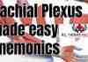 mnemonics for brachial plexus