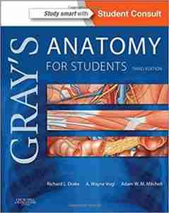 gray anatomy flash cards pdf