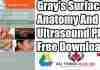 gray's surface anatomy and ultrasound pdf