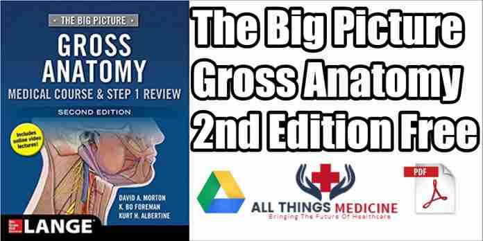 the-big-picture-gross-anatomy-pdf
