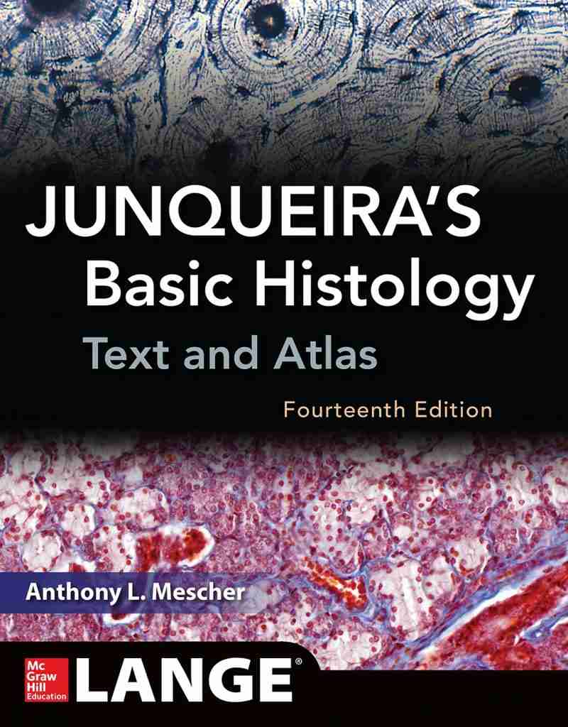 Junqueira's-Basic-Histology:-Text-and-Atlas,-Fourteenth-Edition-pdf