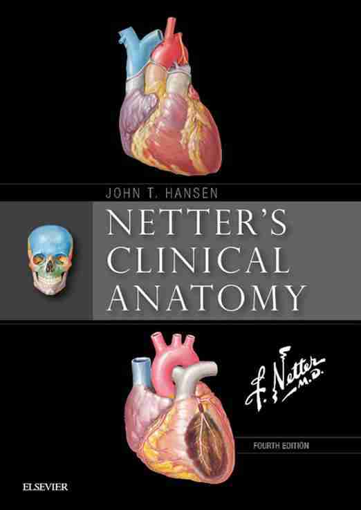 netter's-clinical-anatomy-4th-edition-pdf