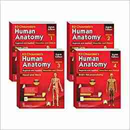 human-anatomy-bd-chaurasia-8th-edition-pdf