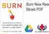 Burn New Research Blows PDF