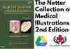 The Netter Collection of Medical Illustrations 2nd Edition PDF
