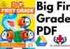 Big First Grade PDF
