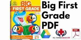 Big First Grade PDF