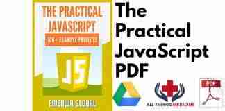The Practical JavaScript PDF