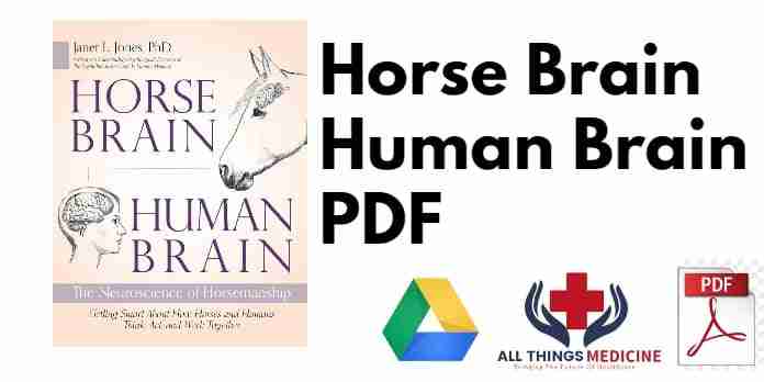 Horse Brain Human Brain PDF
