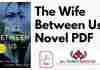 The Wife Between Us A Novel PDF