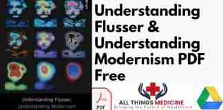 Understanding Flusser & Understanding Modernism PDF