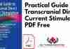 Practical Guide to Transcranial Direct Current Stimulation PDF