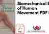 Biomechanical Basis of Human Movement PDF