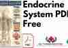 Endocrine System PDF