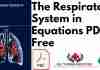 The Respiratory System in Equations PDF
