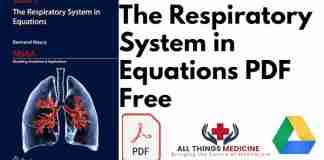 The Respiratory System in Equations PDF