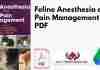 Feline Anesthesia and Pain Management PDF