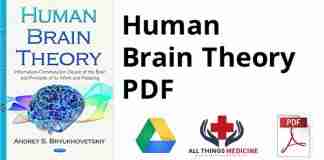 Human Brain Theory PDF
