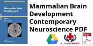 Mammalian Brain Development Contemporary Neuroscience PDF