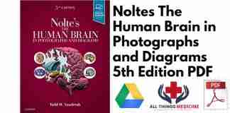 Noltes The Human Brain in Photographs and Diagrams 5th Edition PDF