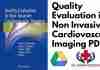 Quality Evaluation in Non Invasive Cardiovascular Imaging PDF