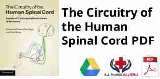 The Circuitry of the Human Spinal Cord PDF