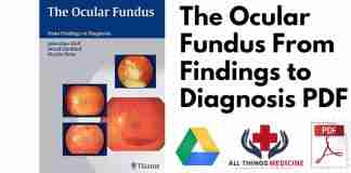The Ocular Fundus From Findings to Diagnosis PDF