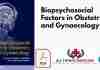 Biopsychosocial Factors in Obstetrics and Gynaecology PDF