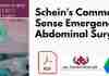 Schein's Common Sense Emergency Abdominal Surgery 4th Edition PDF