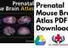 Prenatal Mouse Brain Atlas PDF
