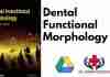 Dental Functional Morphology PDF