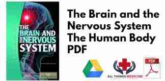 The Brain and the Nervous System The Human Body PDF