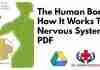 The Human Body How It Works The Nervous System PDF