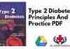 Type 2 Diabetes Principles And Practice PDF