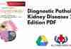 Diagnostic Pathology Kidney Diseases 2nd Edition PDF