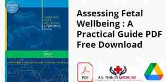 Assessing Fetal Wellbeing : A Practical Guide PDF