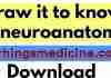 draw-it-to-know-it-neuroanatomy-2021-download-free