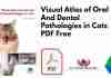 Visual Atlas of Oral And Dental Pathologies in Cats PDF