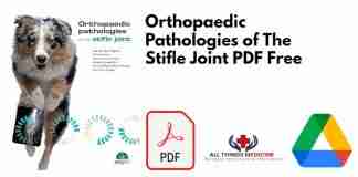 Orthopaedic Pathologies of The Stifle Joint PDF
