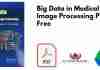 Big Data in Medical Image Processing PDF