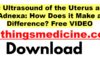 3d-ultrasound-of-the-uterus-and-adnexa-how-does-it-make-a-difference-free-download