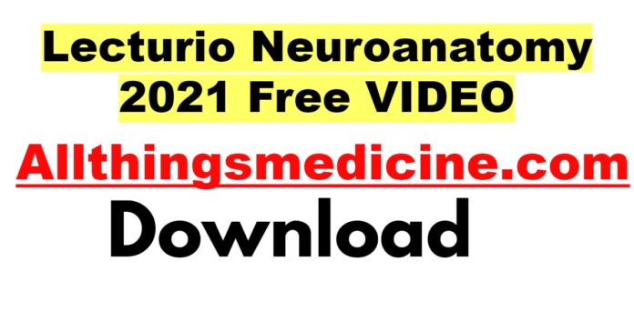lecturio-neuroanatomy-videos-2021-free-download