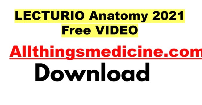 lecturio-anatomy-videos-2021-free-download