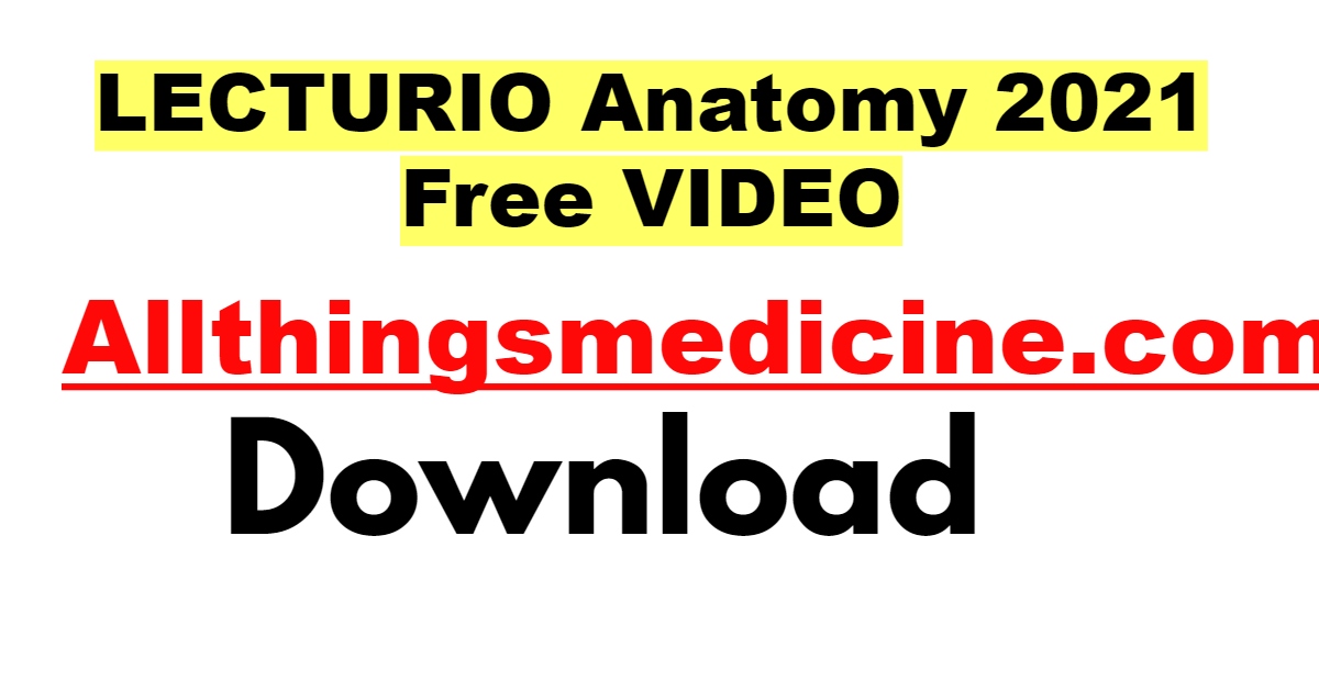 lecturio-anatomy-videos-2021-free-download