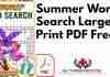 Summer Word Search Large Print PDF