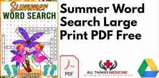 Summer Word Search Large Print PDF