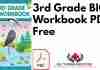 3rd Grade BIG Workbook PDF